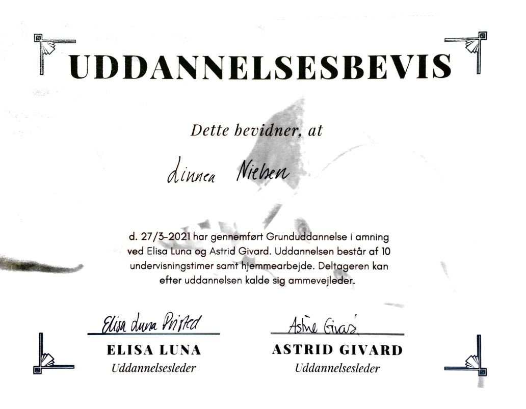 Grunduddannelse-Amning-2021-foedsel-i-balance Grunduddannelse i amning 2021